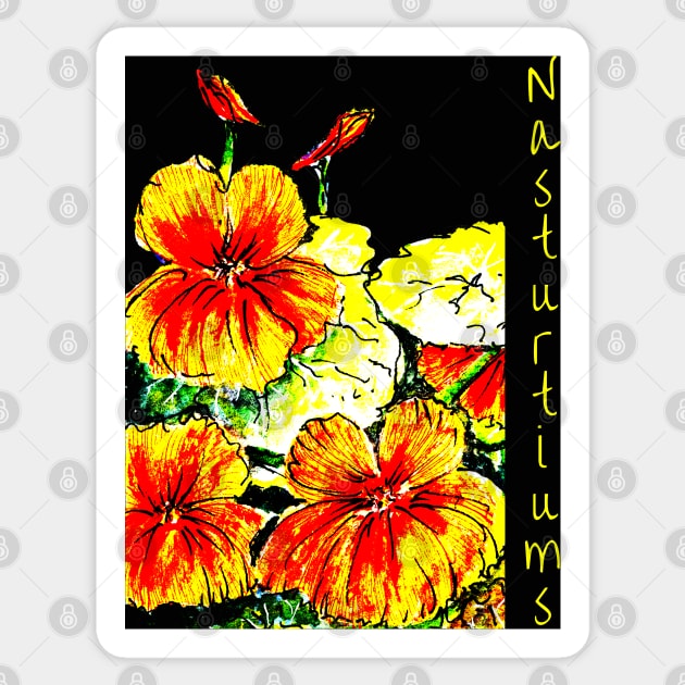 Nasturtiums on Black no Happy Birthday Sticker by Heatherian